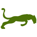 Jaguar Language